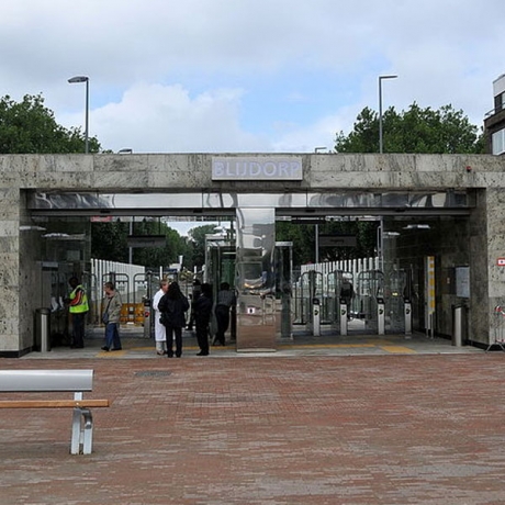 Blijdorp